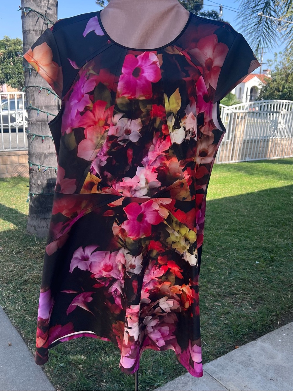 Ted Baker Floral A-Line Dress in Black with Pink & Red Blooms
